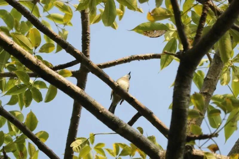 “各位听众下午好，欢迎收听FM105.90”