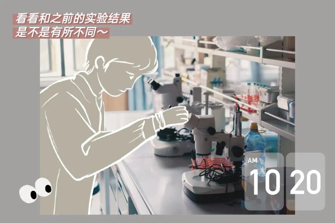 送你这本plog手帐，解锁深大人的一天！