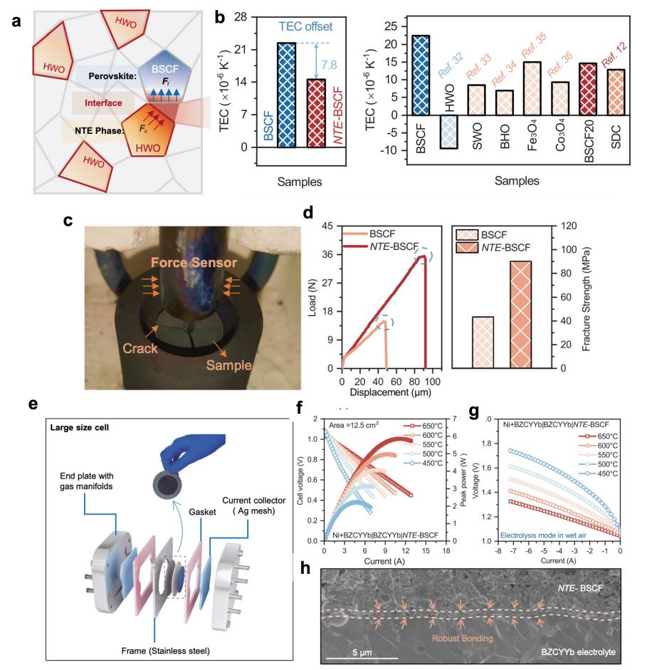 深大谢和平院士团队力学-电化学交叉研究成果登Nature 子刊